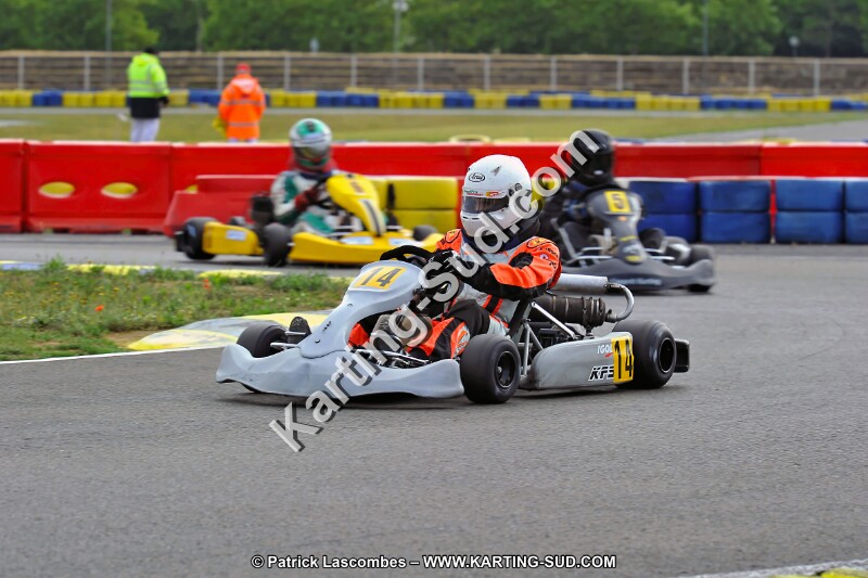 DSC_ (1241).jpg